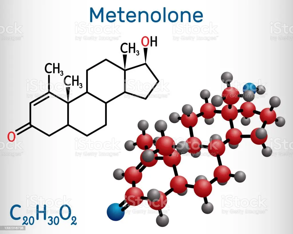 istockphoto-1332316738-1024x1024.steroidsites.08d10